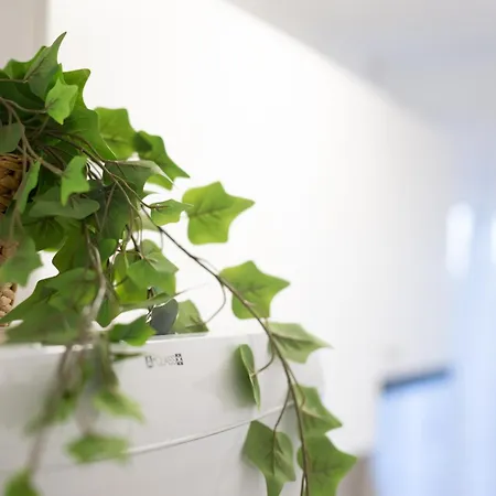 Sunrise טימישוארה