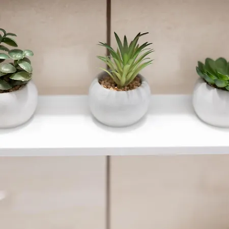 Sunrise * Temešvár