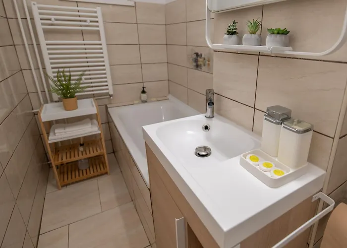 Apartmán Sunrise Temešvár