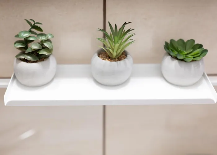 Sunrise * Тимишоара