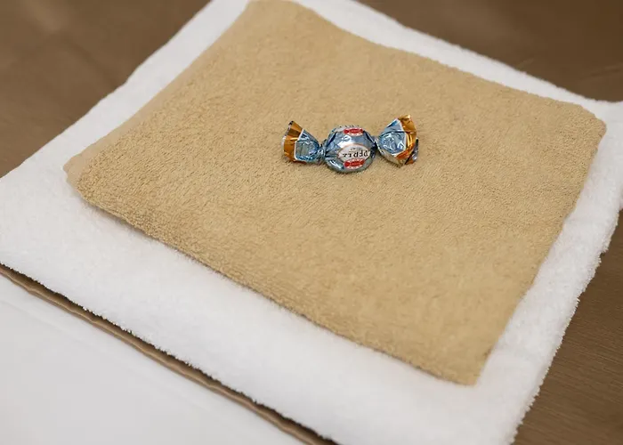 Sunrise Apartment Timisoara